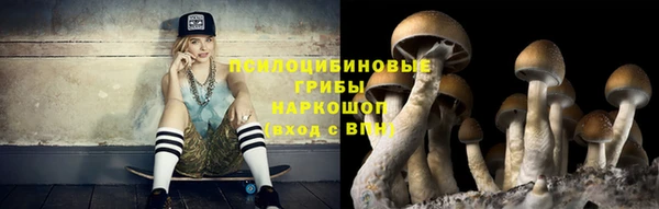 mdpv Алзамай